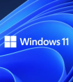 Windows 11 22H2.22621 64位 专业版_MSDN官方原版