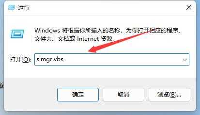 Win11如何查看激活信息？