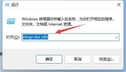 Win11如何查看激活信息？