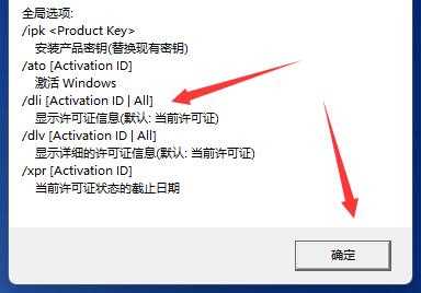 Win11如何查看激活信息？