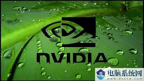 NVIDIA驱动缓存能清理吗