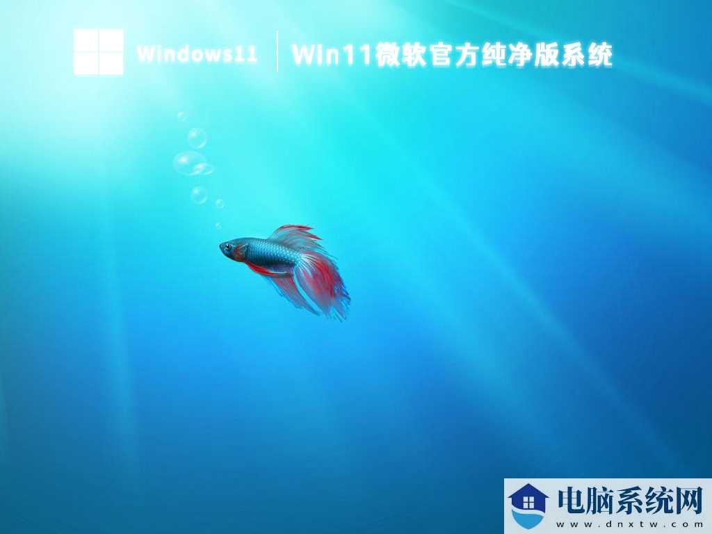 笔记本专用Win11系统下载（宏碁、惠普、华硕、戴尔、联想）