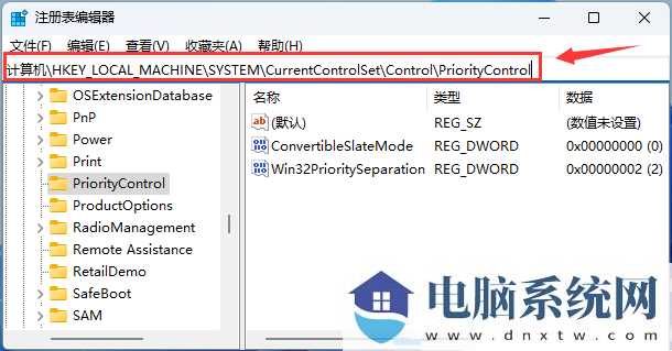 Win11文件复选框没有打开但还是会显示是怎么回事？