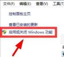 Win11怎么打开IIS管理器？Win11启用IIS管理器方法介绍