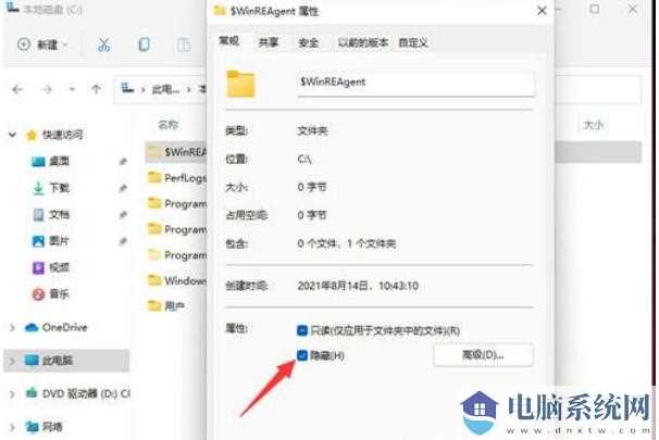 Win11隐藏文件怎么显示出来？win11隐藏文件显示设置方法