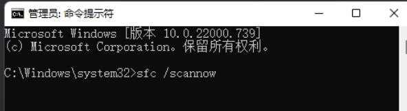 Win11无法打开Windows终端提示内部错误怎么办？