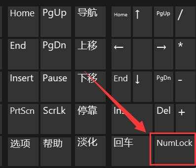 win11笔记本键盘打不了字按哪个键恢复？