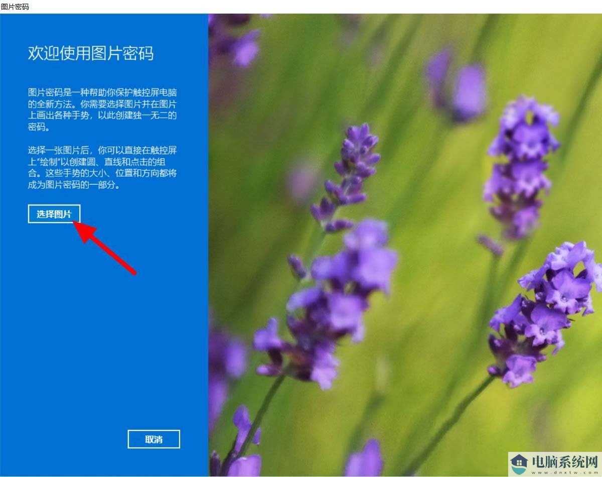 Win11怎么添加图片密码？Win11添加图片密码教程