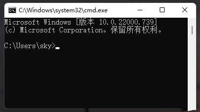 Win11网络地址ping测试