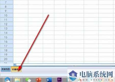 IBM SPSS Statistics