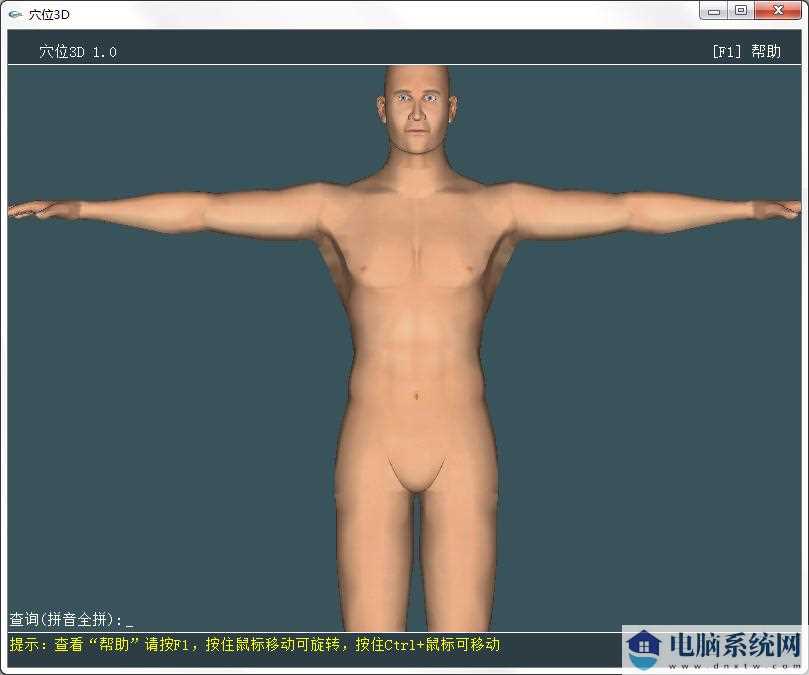 人体穴位3D模型软件