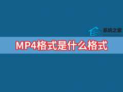 MP4格式是什么?MP4格式是什么格式