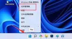 U盘的文件无法删除文件解决方法？Win11无法删除U盘文件处理教程