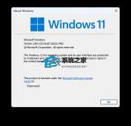 Windows 11 Insider Preview 22622.440 (ni_release)(KB5015890)预览更新来啦！