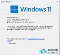 微软Windows 11 Insider Preview Build 22621.601/22622.601 beta预览版来啦！！