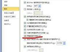 Excel2010怎么样设置鼠标滚轮控制窗口大小的使用教程分享