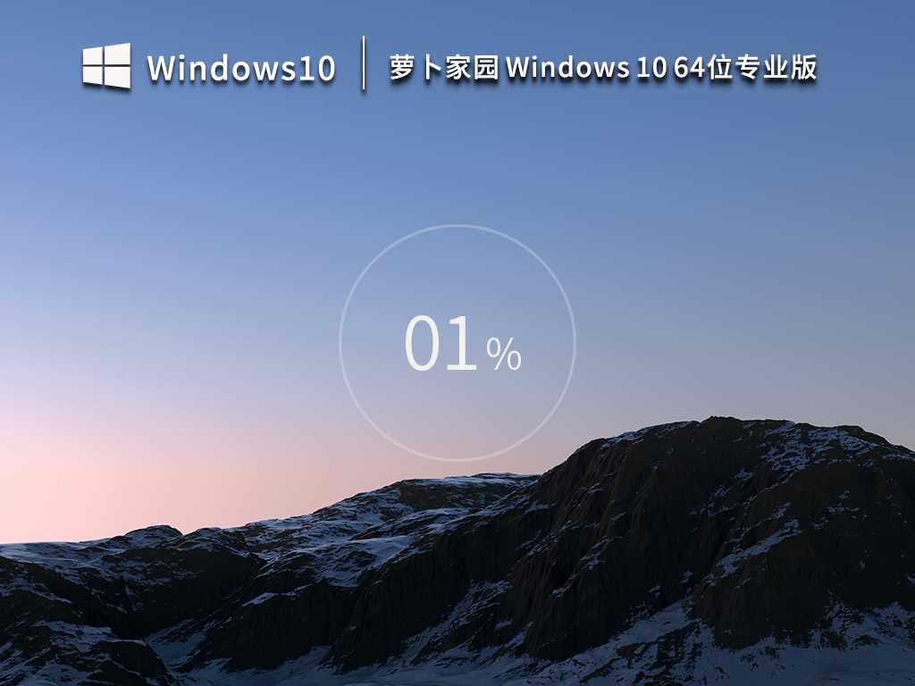 萝卜家园 Windows10 64位 专业版（一键安装）V2023年3月