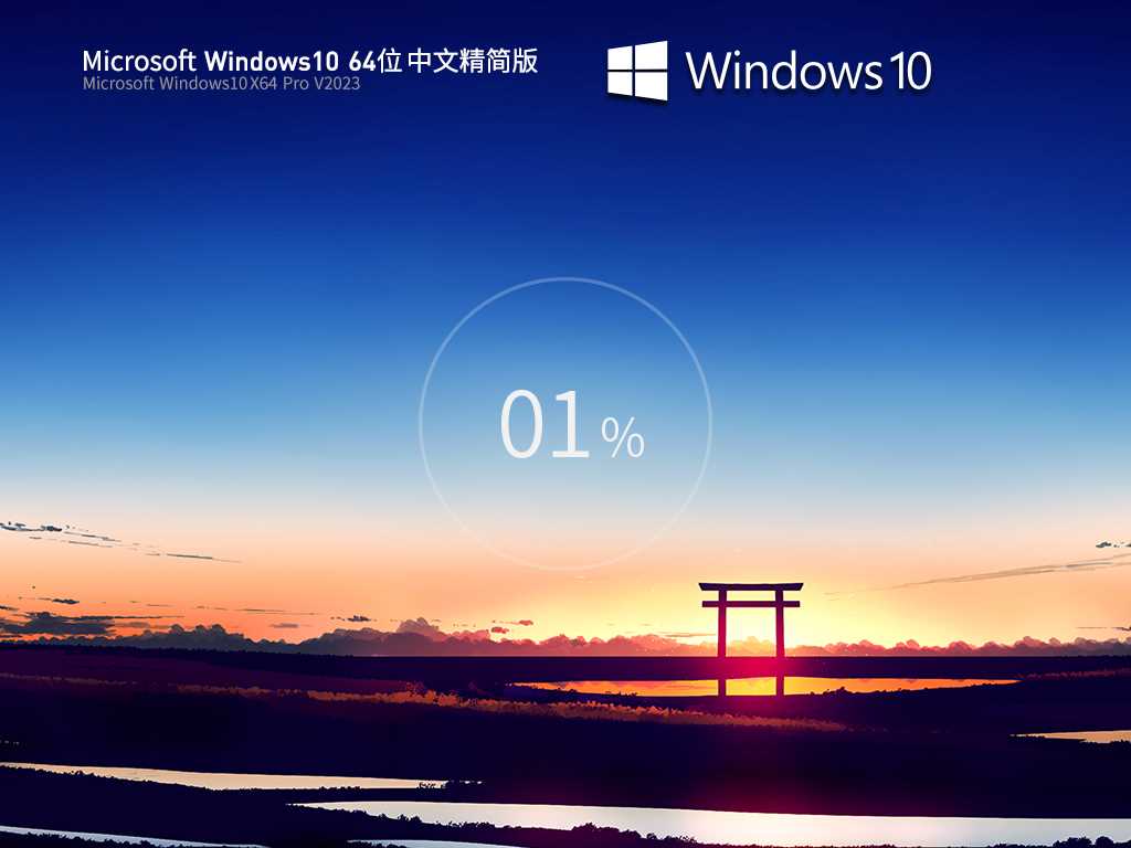 Windows10 22H2 19045.2846 X64 中文精简版