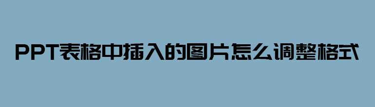 PPT表格插入的图片怎么调整格式？PPT表格插入的图片格式调整方法