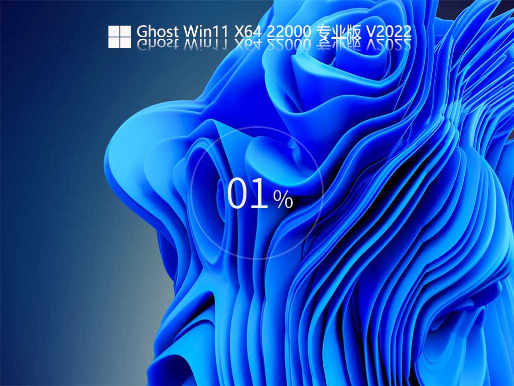 Ghost Win11 22000.493 专业版 V2022年2月