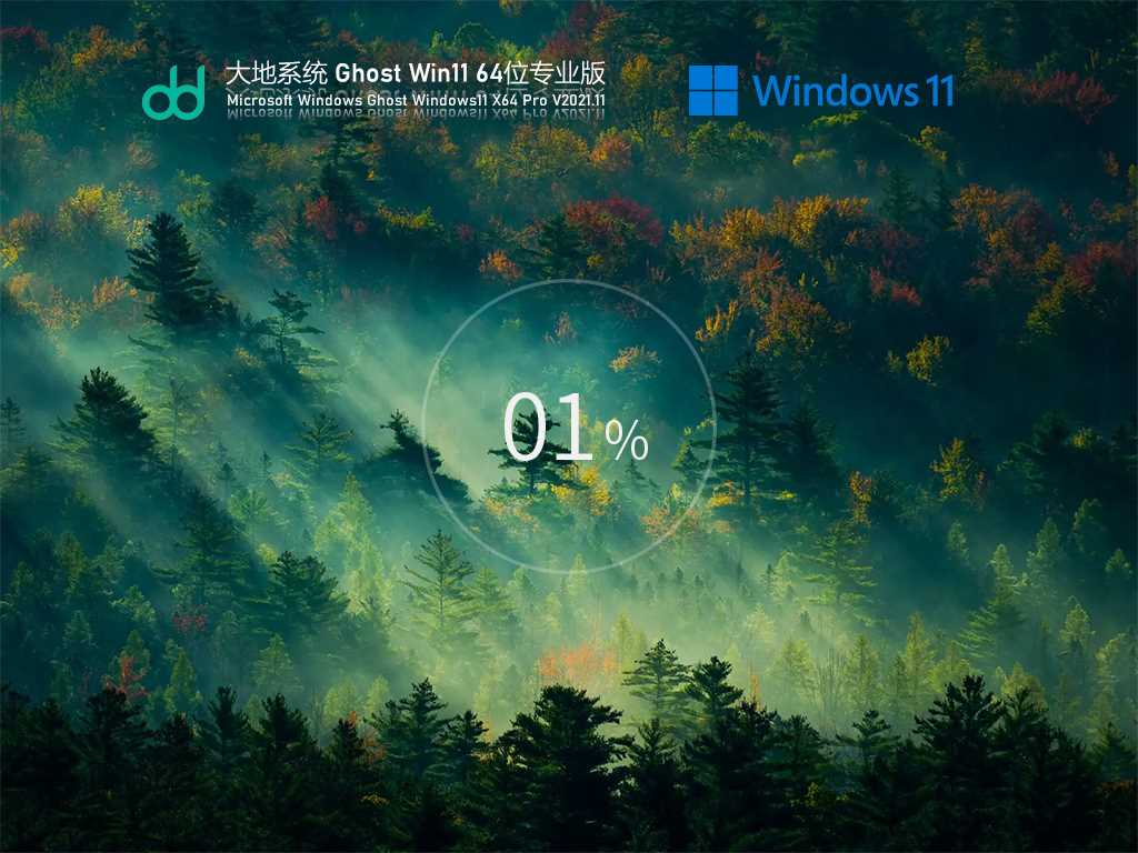 大地系统 Ghost Win11 64位完美专业版 V2021年11月