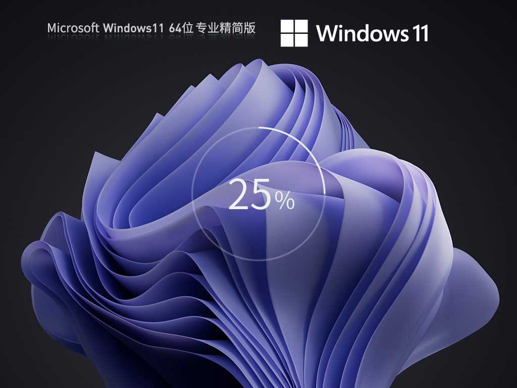 Windows11 22H2 (22621.1778) X64 专业精简版 V2023年6月