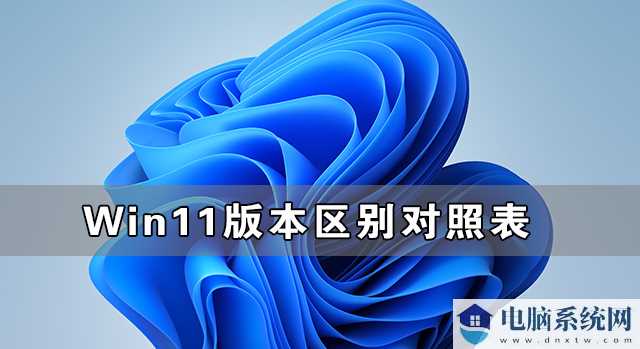 Win11各个版本有什么不同 Win11版本区别对照表