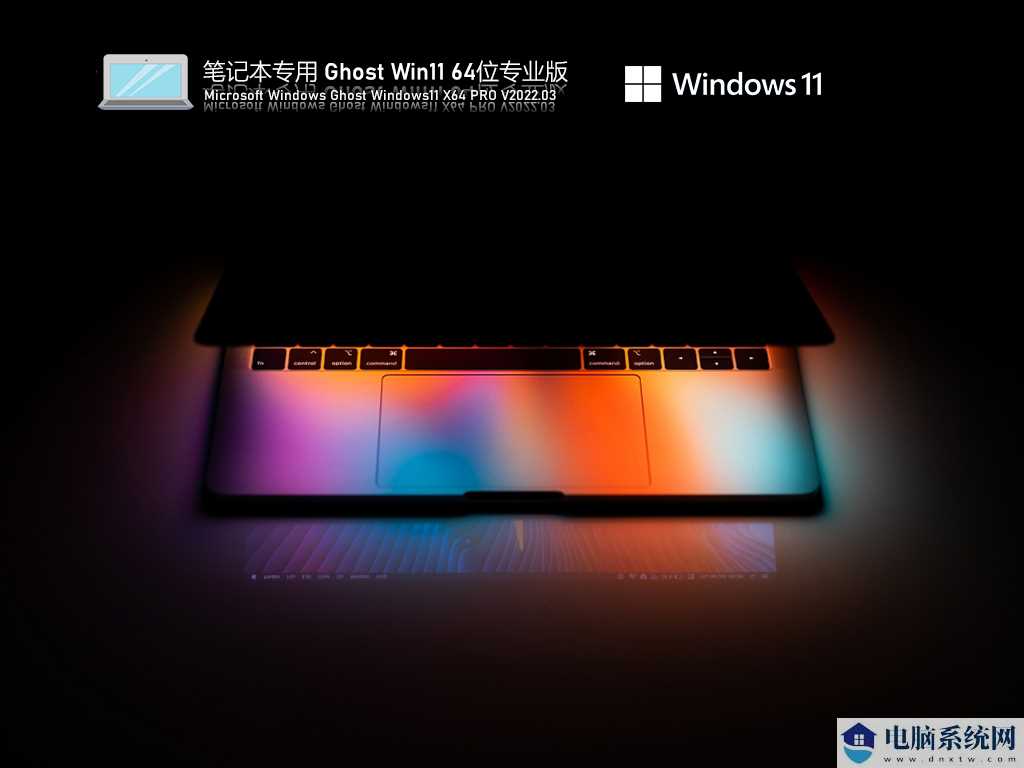 笔记本专用 Ghost Win11 64位 通用专业版 V2022年3月