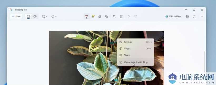 微软升级 Win11 截图工具：调用 Bing 进行可视化搜索