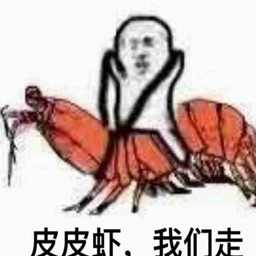 骚猪皮皮虾我们走动态表