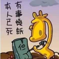 当年火爆一时的扣扣个性