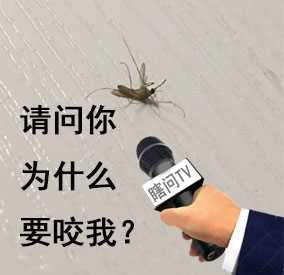 瞎问TV采访表情包高清版