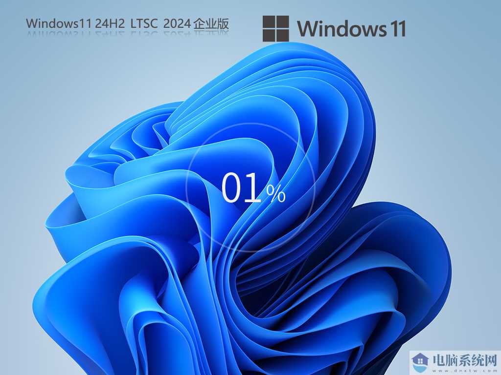 【五年支持养老版】Windows11 24H2 LTSC 2024 企业正式版