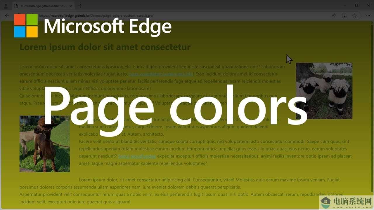 微软 Edge 130 浏览器引入新功能：可调页面颜色、禁用网站定制滚动条