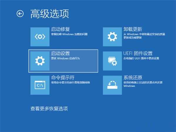 青苹果系统Win11专业版