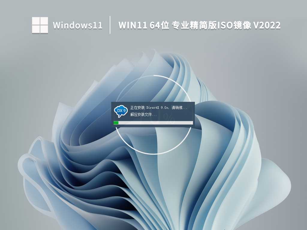 Windows11 64位 专业精简版 (21H2,可更新) V2022