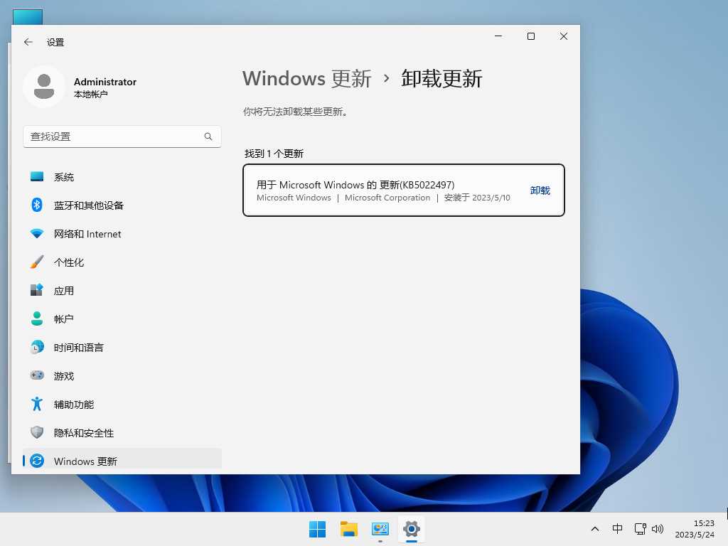 Windows 11 22H2 64位 中文企业版 V2023年5月