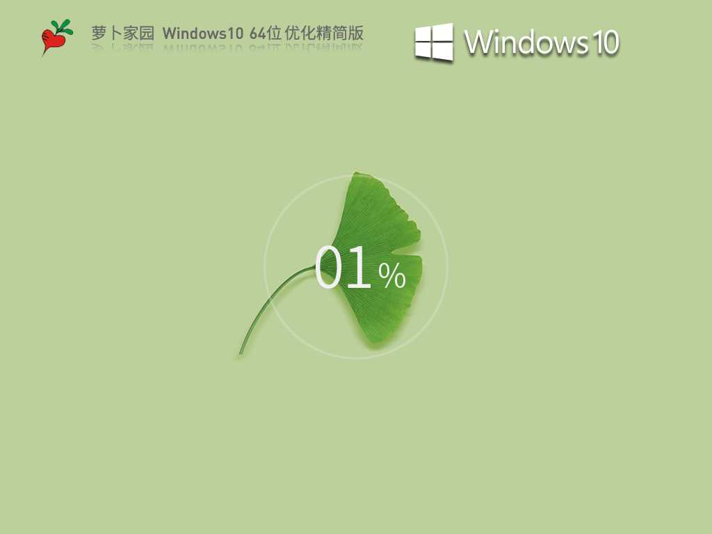 萝卜家园 Windows10 64位 优化精简版 V2023年6月