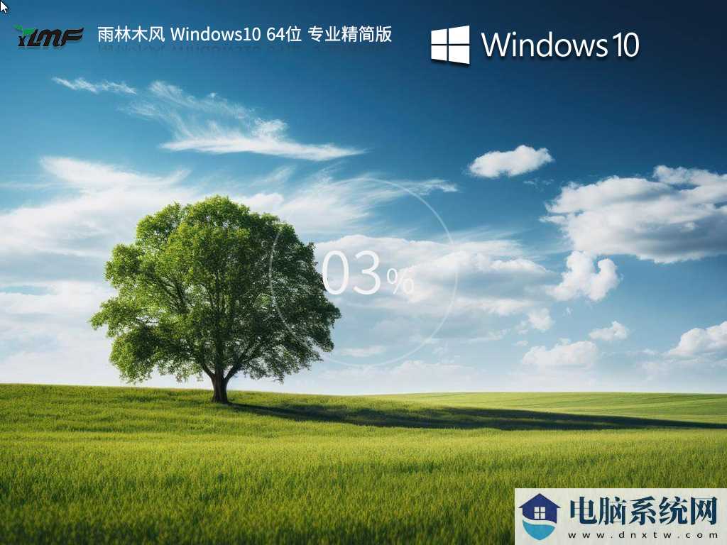 雨林木风 Windows10 64位 专业精简版 V2023