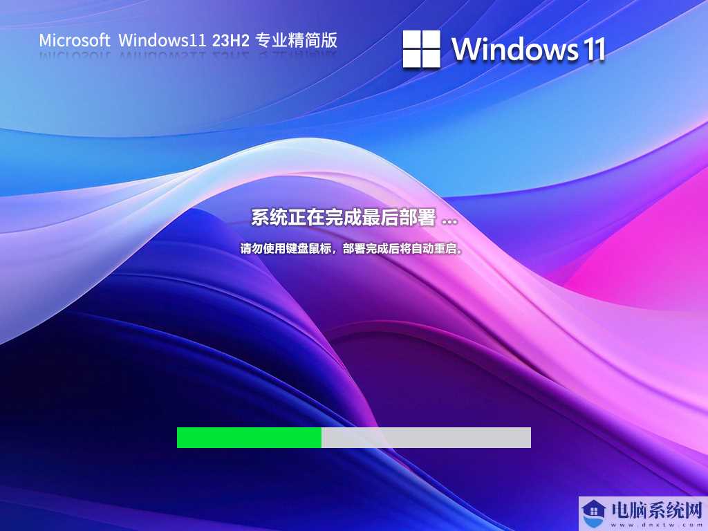 【绕过硬件检测】Windows11 64位 专业精简版 (可更新)