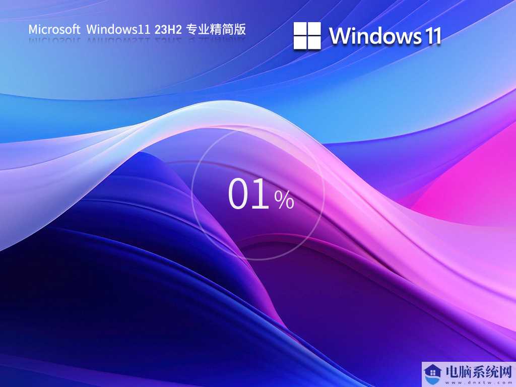 【绕过硬件检测】Windows11 64位 专业精简版 (可更新)