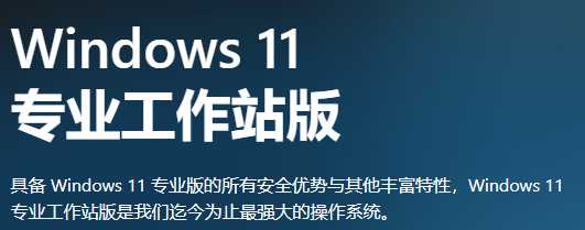 Windows11 23H2 64位 专业工作站版