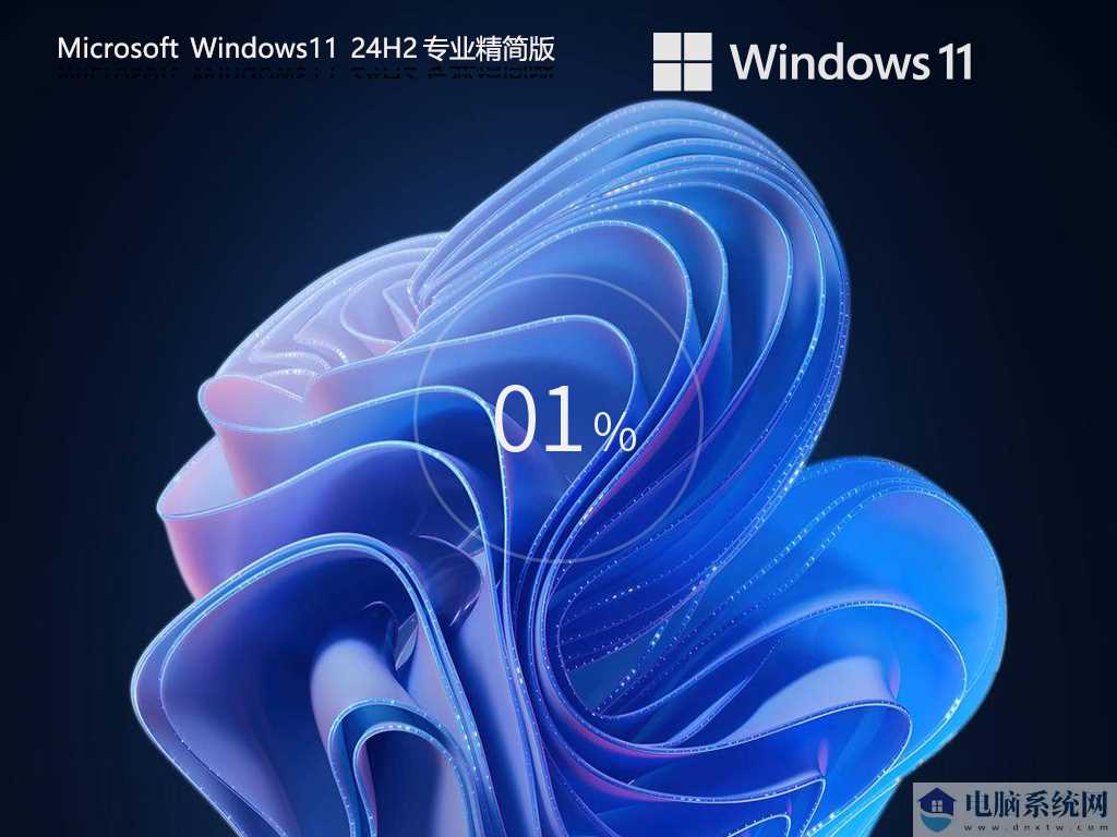 【少量精简】Windows11 24H2 64位 专业精简版镜像