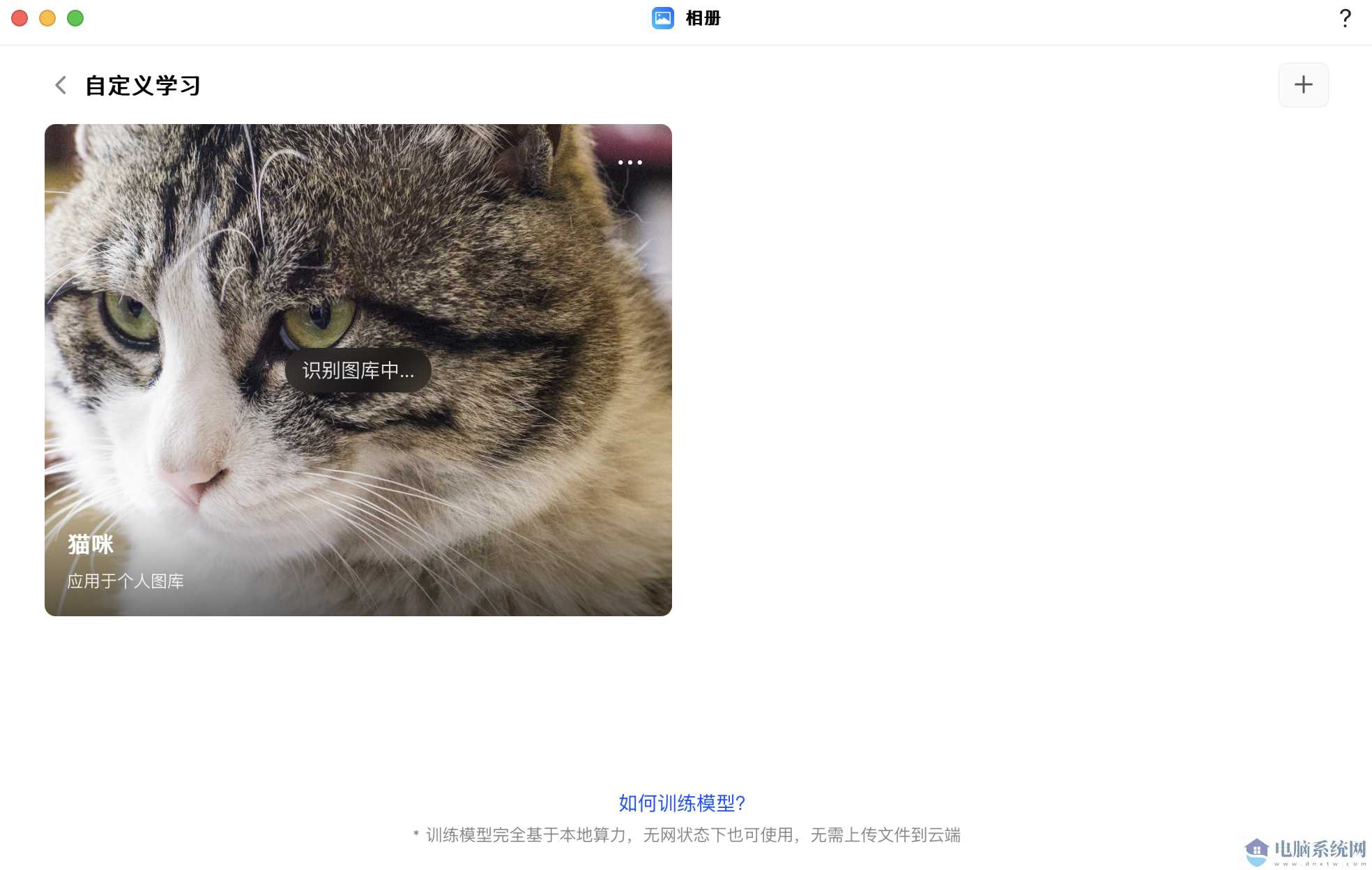 猫的照片上写着字描述已自动生成