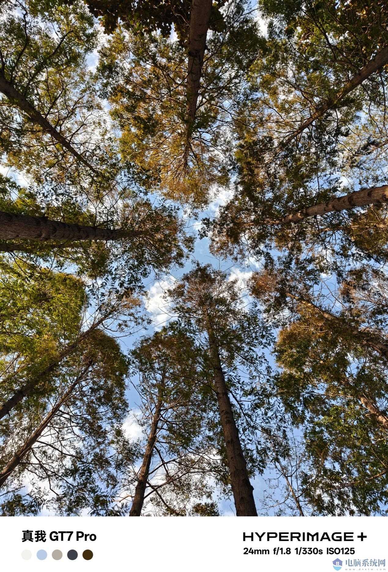 树下的雪描述已自动生成