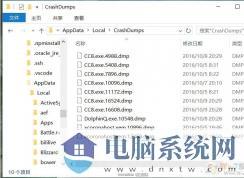 crashdumps文件夹是什么,里面的DMP文件可以删除吗