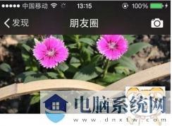 朋友圈停用仅自己可见,禁止任何人查看朋友圈方法