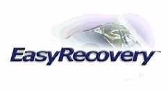 easyrecovery怎样恢复Word文档？easyrecovery恢复Word文档的方法