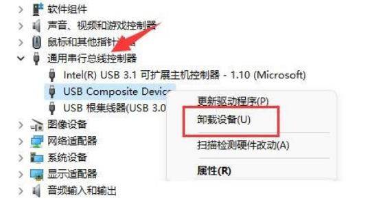 Win11移动硬盘不显示怎么办？Win11移动硬盘不显示问题解析