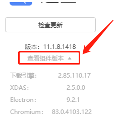 迅雷11如何查看组件版本？迅雷11查看组件版本的方法截图